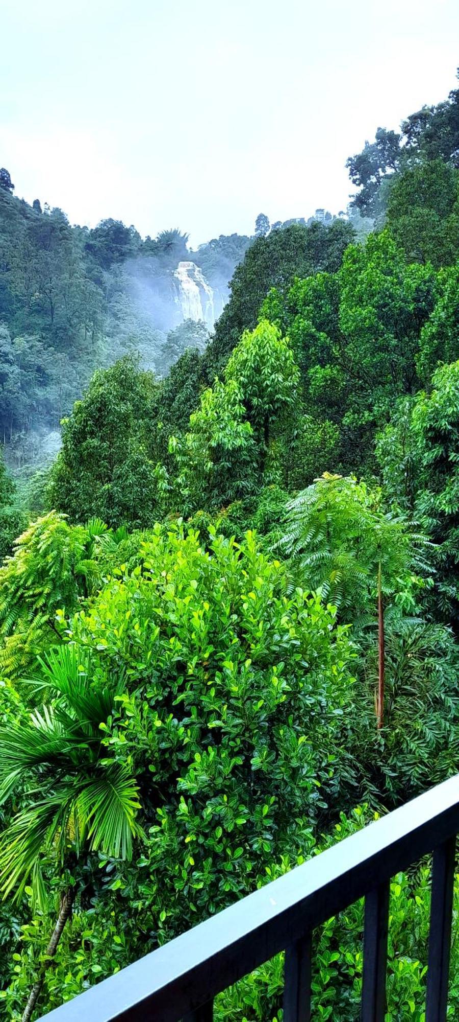 Ever Green Mount Ella Esterno foto