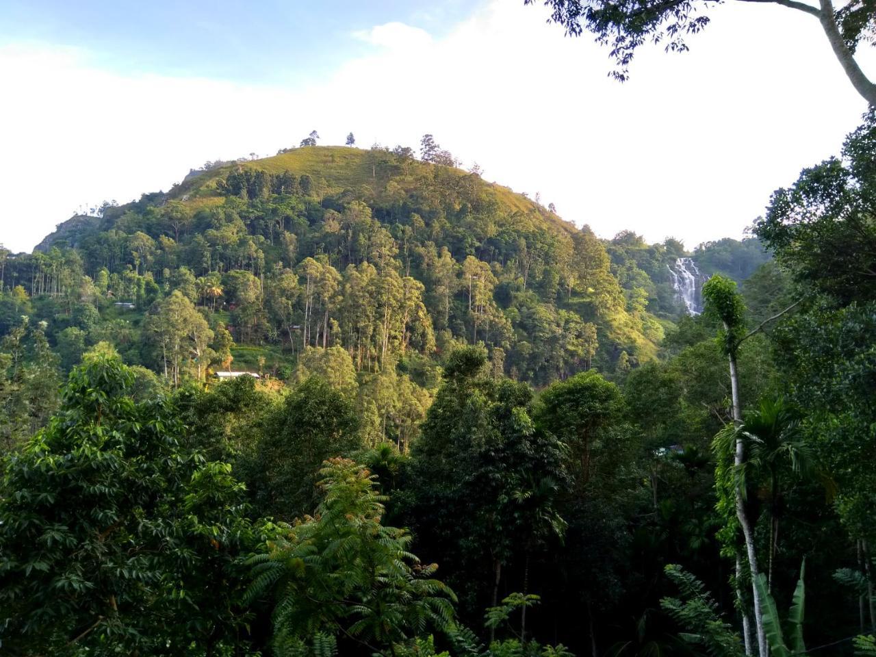 Ever Green Mount Ella Esterno foto
