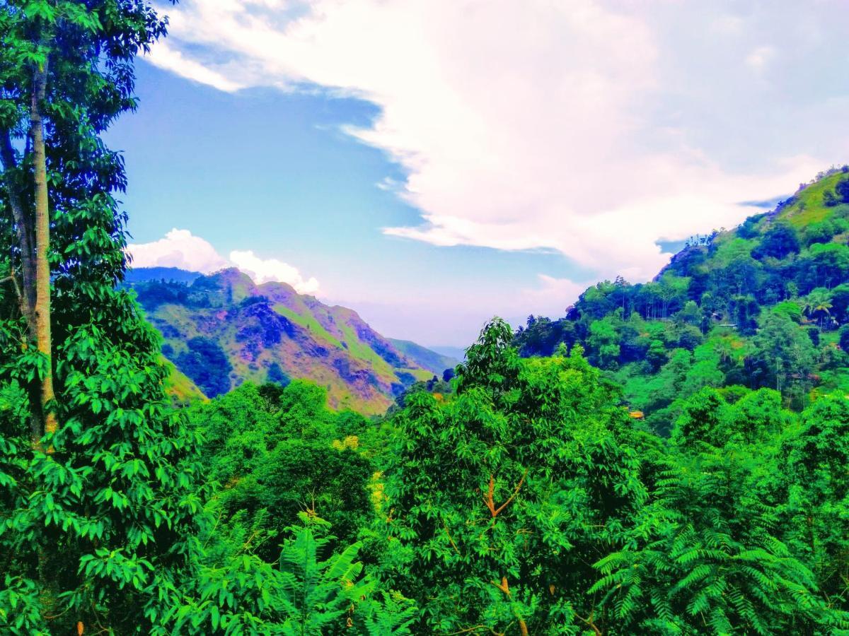 Ever Green Mount Ella Esterno foto